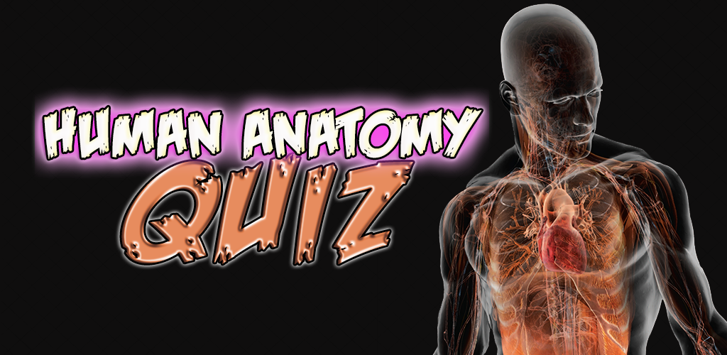 Human Anatomy Quiz